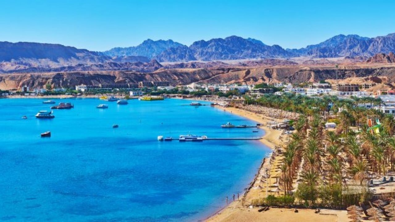 Foto - Türkiye yerine Mısır ve BAE'yi seçtiler! İşte bu hiç iyi olmadı