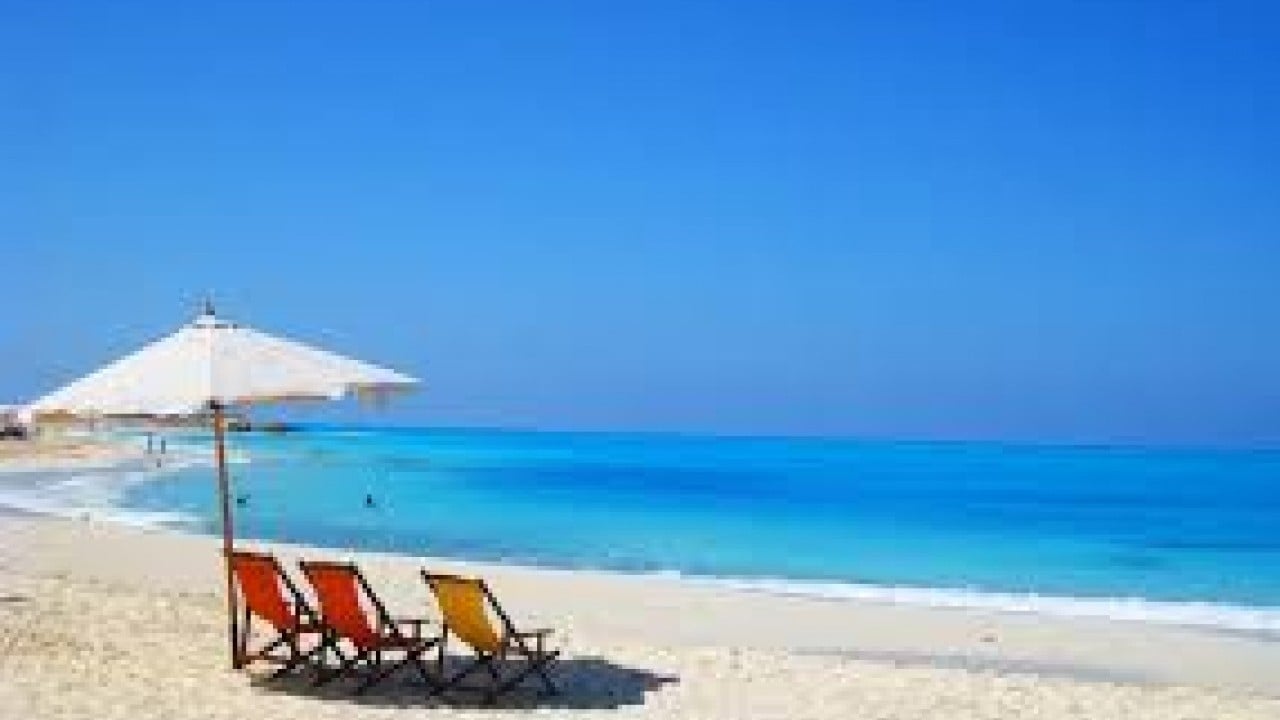 Foto - Türkiye yerine Mısır ve BAE'yi seçtiler! İşte bu hiç iyi olmadı