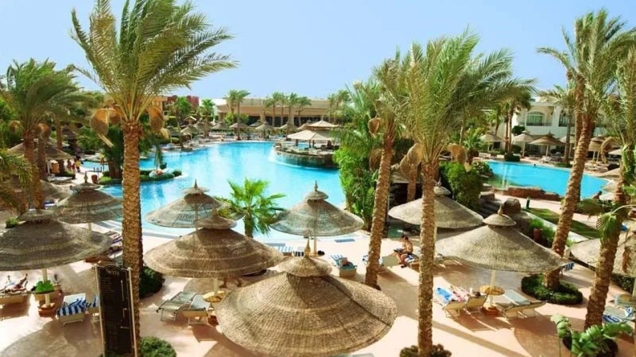 Foto - Türkiye yerine Mısır ve BAE'yi seçtiler! İşte bu hiç iyi olmadı