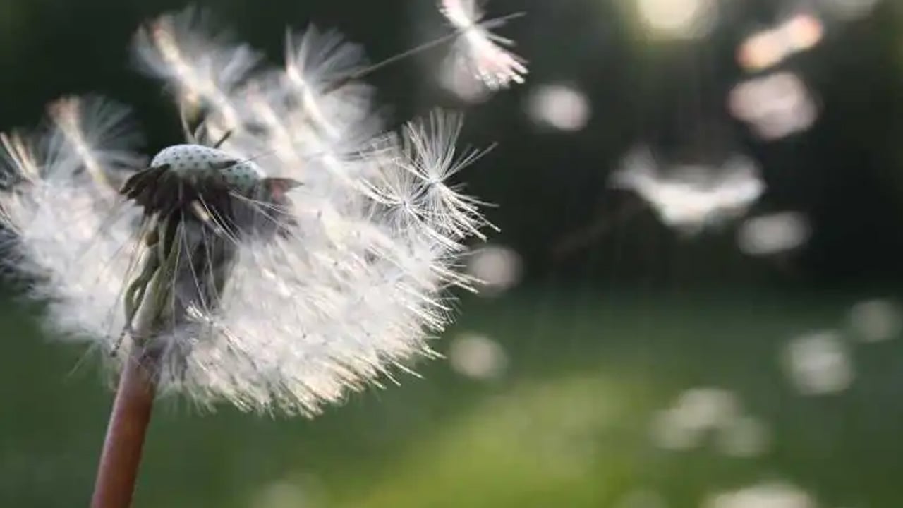 Foto - Bağırsak sağlığını tehdit eden baharın gizli tehlikeleri: İşte onlar alarm belirtileri...