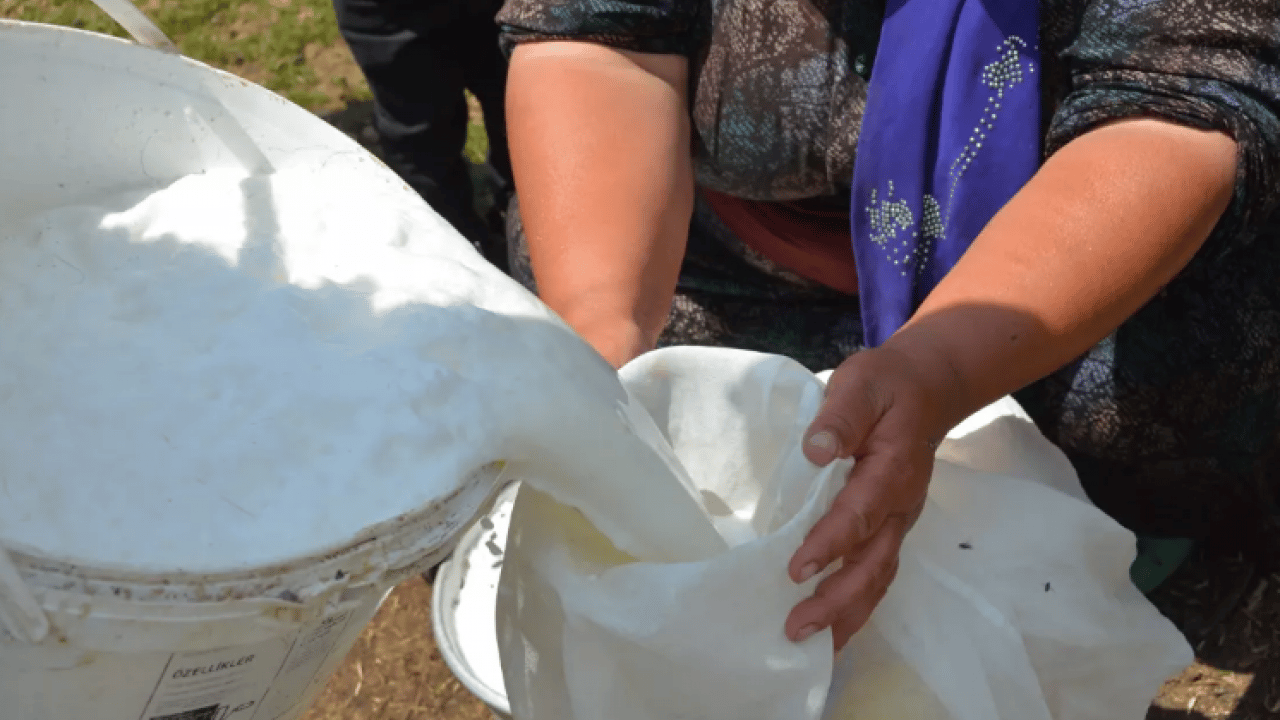 Foto - Bağırsakları motor gibi çalıştırıyor! Kabızlığa son veriyor!