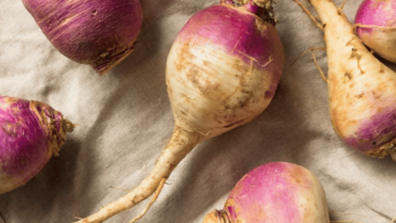 Foto - Bağırsakların süpürgesi o sebze! Kabızlığında reçetesi, hücrelerin formatı: Şifa olacak kökten gelen besin