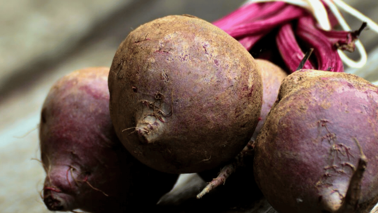 Foto - Bağırsakların süpürgesi o sebze! Kabızlığında reçetesi, hücrelerin formatı: Şifa olacak kökten gelen besin