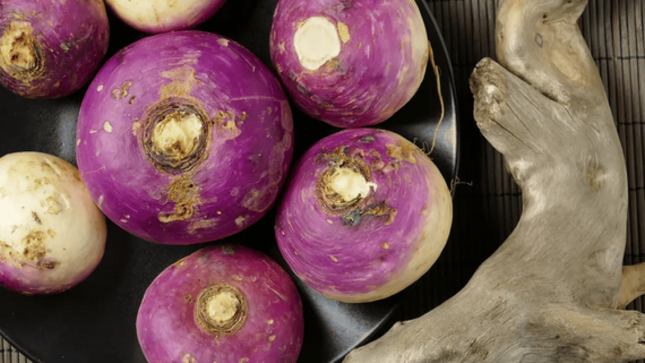 Foto - Bağırsakların süpürgesi o sebze! Kabızlığında reçetesi, hücrelerin formatı: Şifa olacak kökten gelen besin