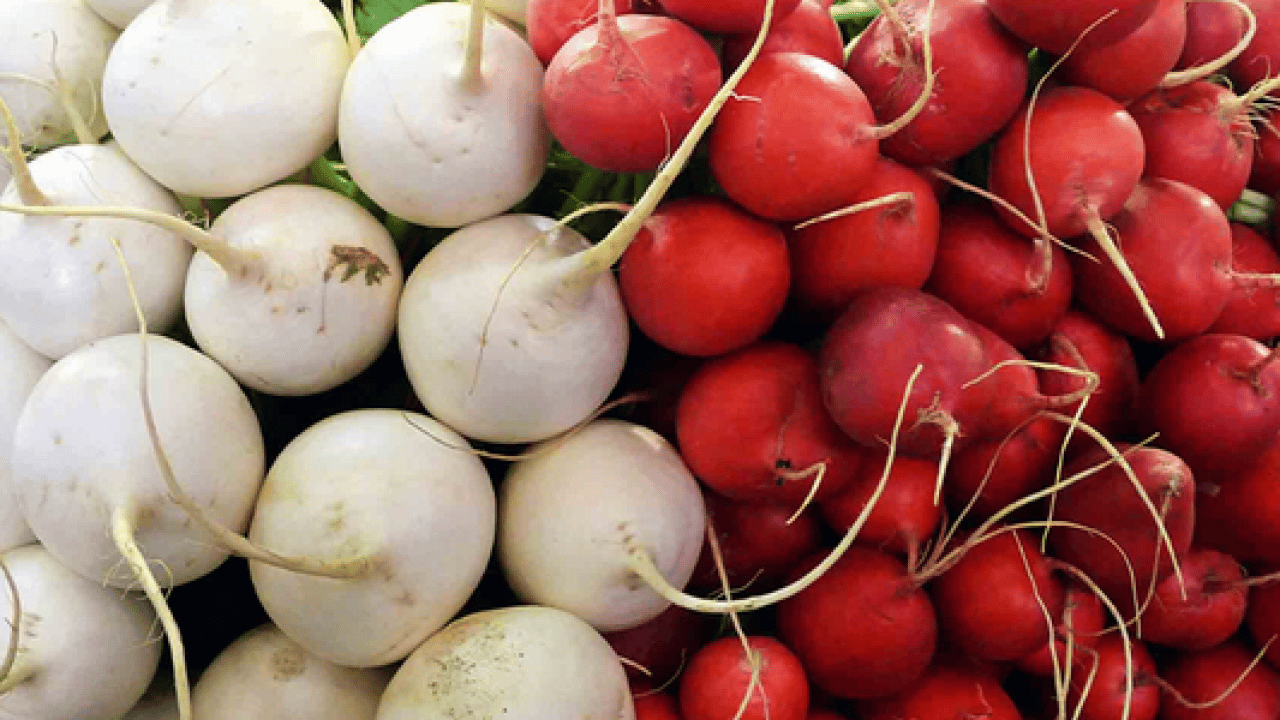 Foto - Bağırsakların süpürgesi o sebze! Kabızlığında reçetesi, hücrelerin formatı: Şifa olacak kökten gelen besin