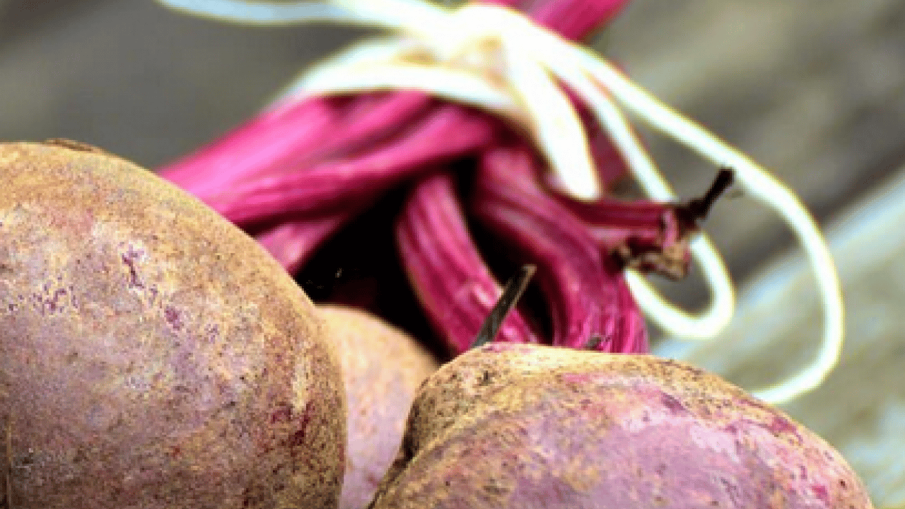 Foto - Bağırsakların süpürgesi o sebze! Kabızlığında reçetesi, hücrelerin formatı: Şifa olacak kökten gelen besin