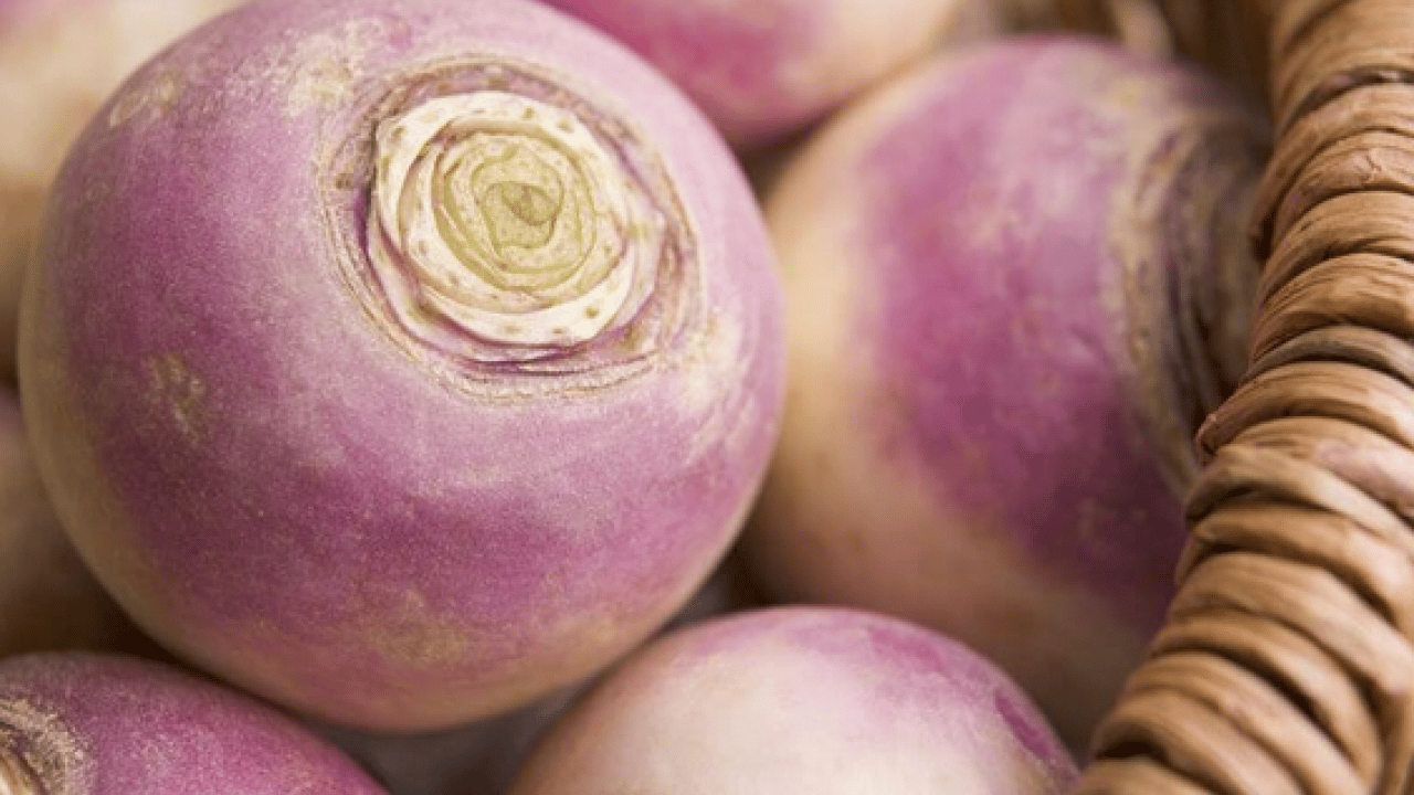 Foto - Bağırsakların süpürgesi o sebze! Kabızlığında reçetesi, hücrelerin formatı: Şifa olacak kökten gelen besin