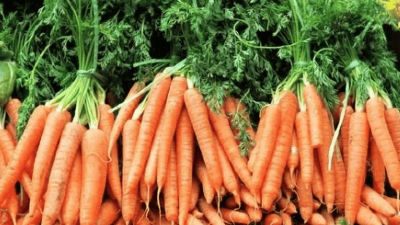 Uzman İlk kez paylaştı: Bağışıklığı çelik gibi yapan besinler! Bunları yapanlar, kışı hasta olmadan atlatıyor