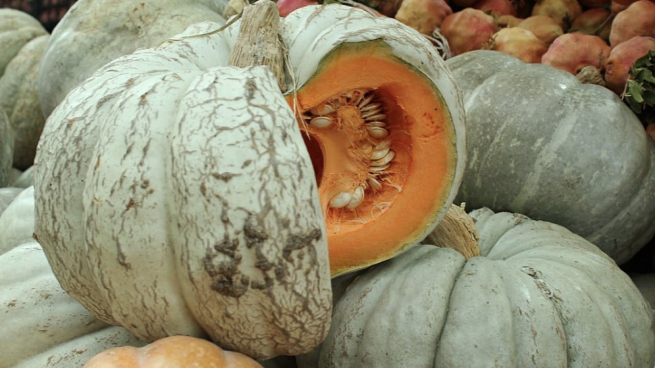 Foto - Uzman İlk kez paylaştı: Bağışıklığı çelik gibi yapan besinler! Bunları yapanlar, kışı hasta olmadan atlatıyor