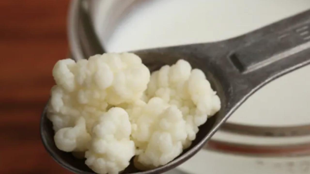 Foto - Uzman İlk kez paylaştı: Bağışıklığı çelik gibi yapan besinler! Bunları yapanlar, kışı hasta olmadan atlatıyor