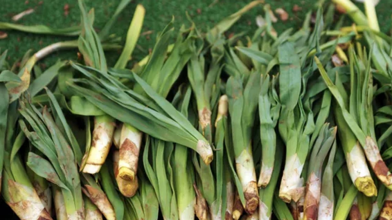 Foto - Bağışıklık sistemine karşı: Doğal antibiyotik tezgahlara indi: Sadece 2 ay yiyebilirsiniz...