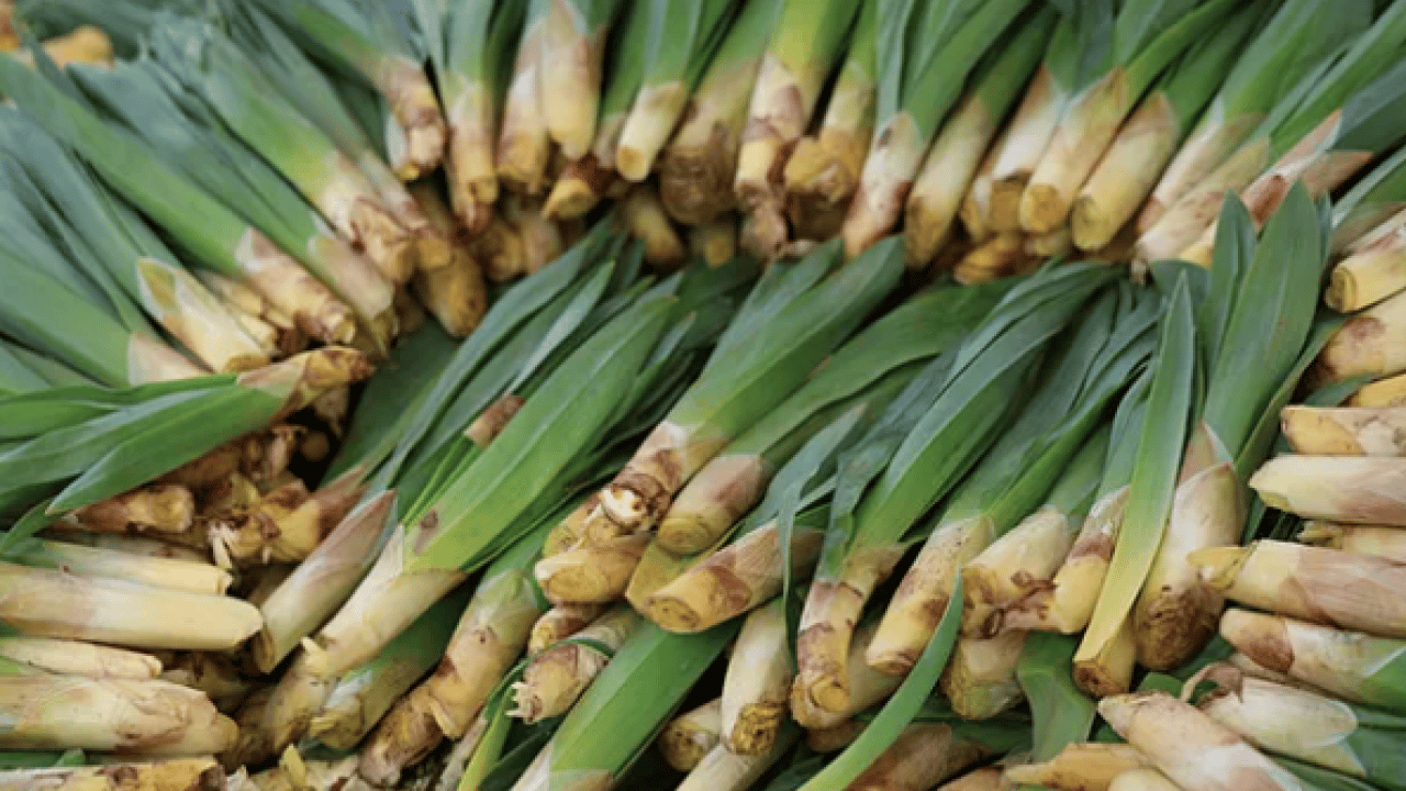 Foto - Bağışıklık sistemine karşı: Doğal antibiyotik tezgahlara indi: Sadece 2 ay yiyebilirsiniz...