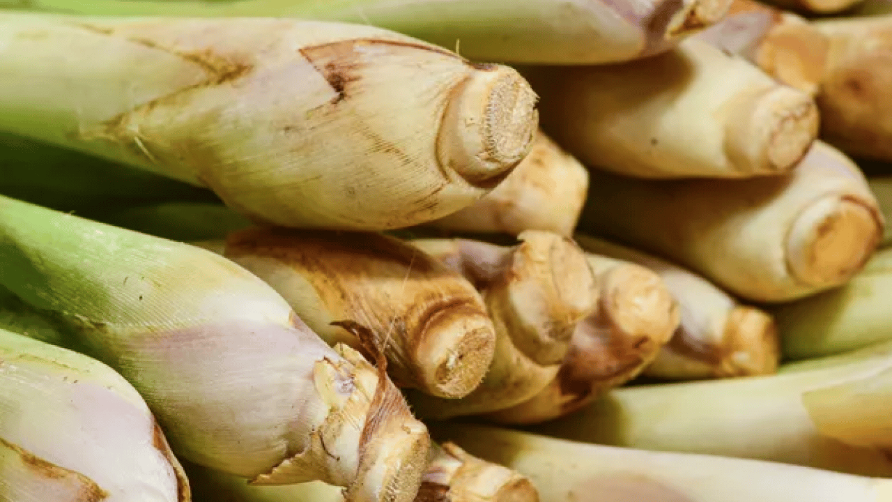Foto - Bağışıklık sistemine karşı: Doğal antibiyotik tezgahlara indi: Sadece 2 ay yiyebilirsiniz...