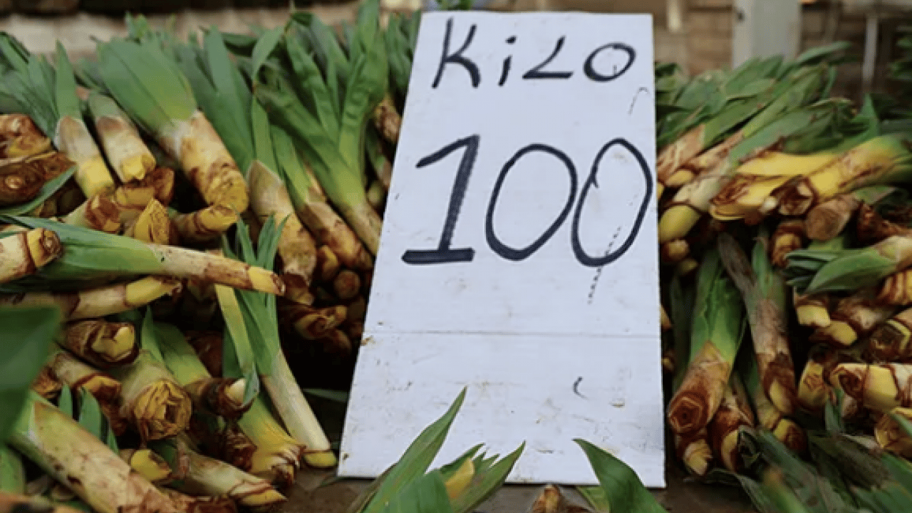 Foto - Bağışıklık sistemine karşı: Doğal antibiyotik tezgahlara indi: Sadece 2 ay yiyebilirsiniz...