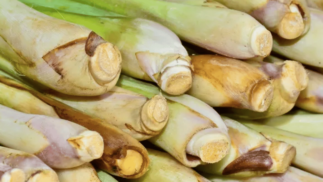 Foto - Bağışıklık sistemine karşı: Doğal antibiyotik tezgahlara indi: Sadece 2 ay yiyebilirsiniz...