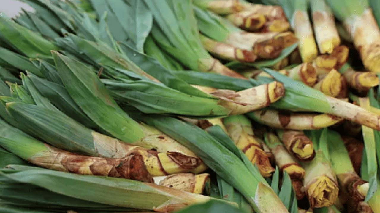Foto - Bağışıklık sistemine karşı: Doğal antibiyotik tezgahlara indi: Sadece 2 ay yiyebilirsiniz...