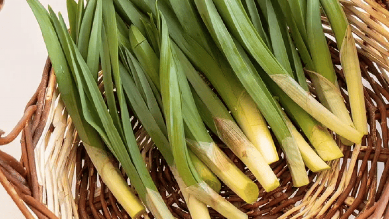 Bağışıklık sistemine karşı: Doğal antibiyotik tezgahlara indi: Sadece 2 ay yiyebilirsiniz...