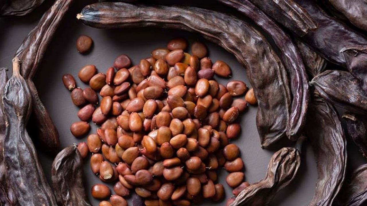 Foto - Bağışıklık sistemini güçlendirmek için keçiboynuzu pekmezi tüketin: Savaş açan virüs savar