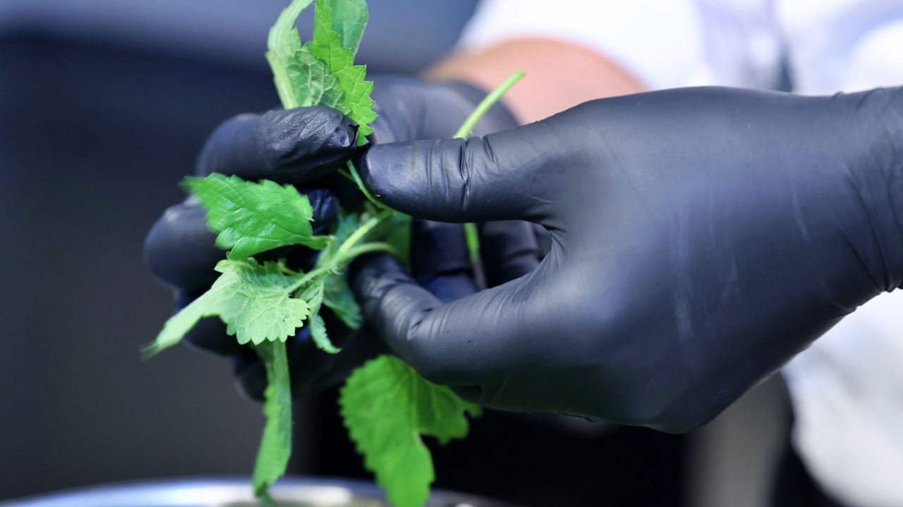 Foto - Baharın habercisi! İftar sofralarının vazgeçilmezi