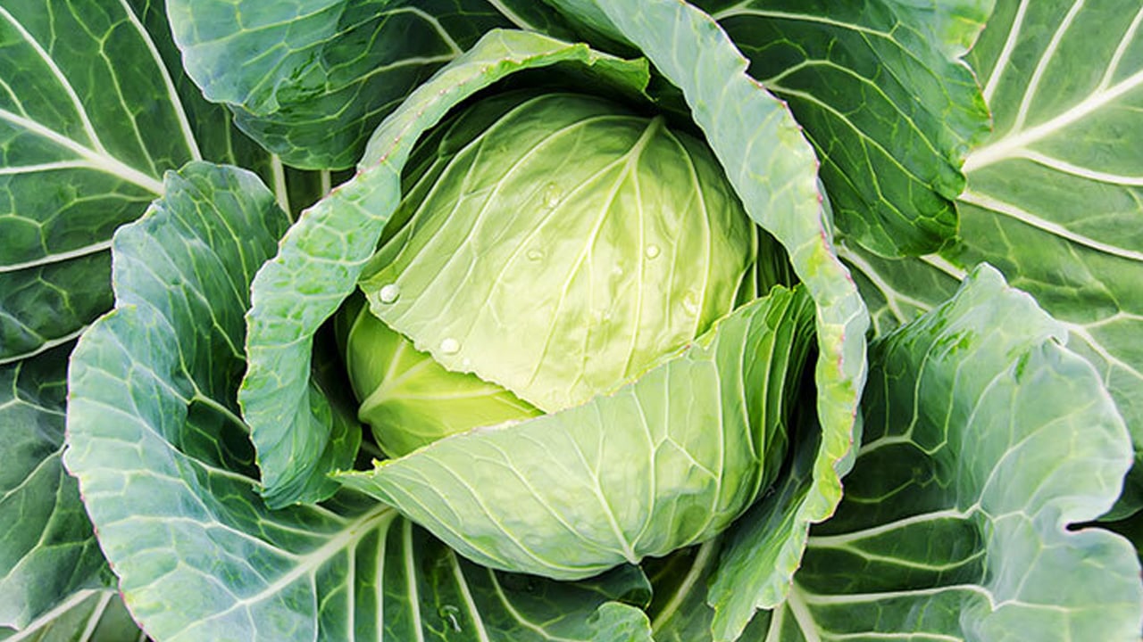 Foto - İbrahim Saraçoğlu ödem atmanın sırrını açıkladı: Ödem için önerdiği bitkileri anlattı 2026!