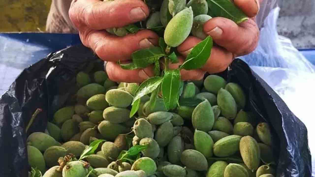 Foto - Baharın ilk tadı tezgâhta: Çağla kapış kapış