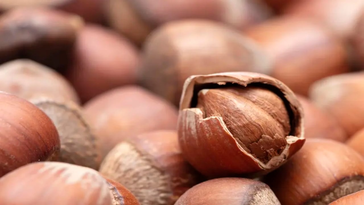 Foto - Bahçede 250, rafta 1600 lira! Paketlisinin fiyatı altınla yarışıyor