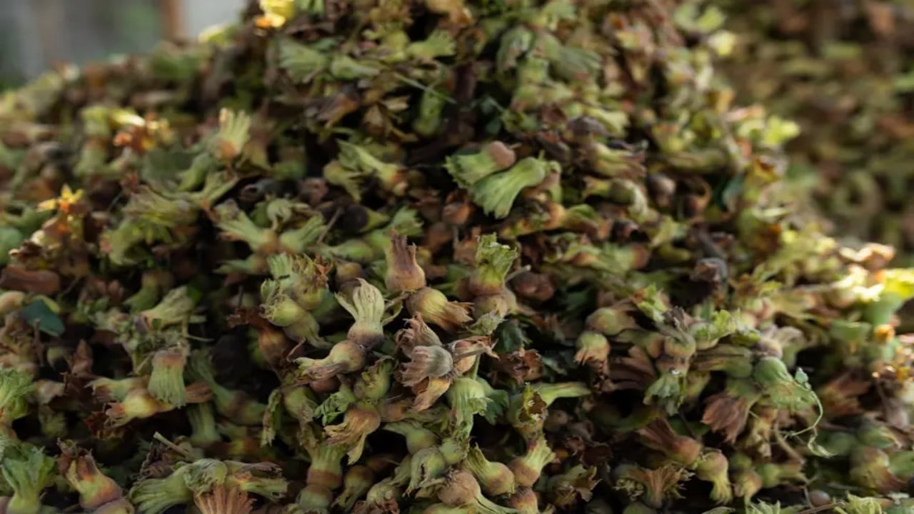 Foto - Bahçede 250, rafta 1600 lira! Paketlisinin fiyatı altınla yarışıyor