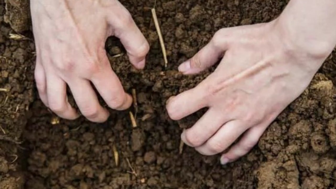 Foto - Bahçesini kazdı servet ortaya çıktı! Bir tanesinin değeri 52 milyon TL!