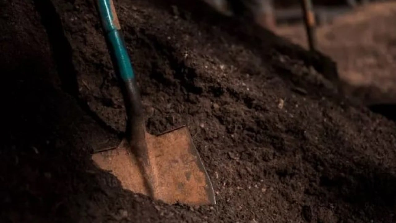 Foto - Bahçesini kazdı servet ortaya çıktı! Bir tanesinin değeri 52 milyon TL!