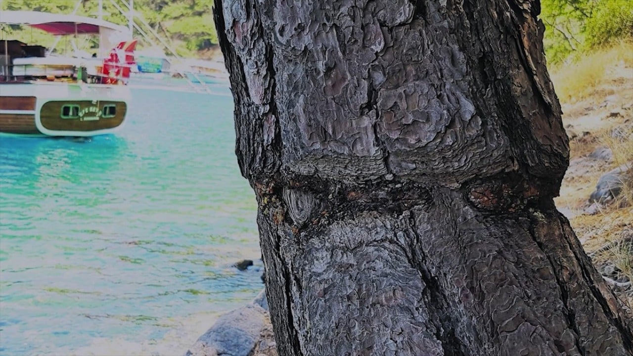 Foto - Deniz tabanındaki fiziksel tahribata son! Karşınızda mapa şamandıra sistemi