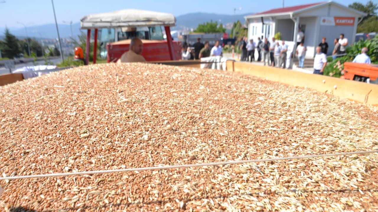 Foto - Bakan Yumaklı duyurdu! TMO hububat alımında rekor kırdı