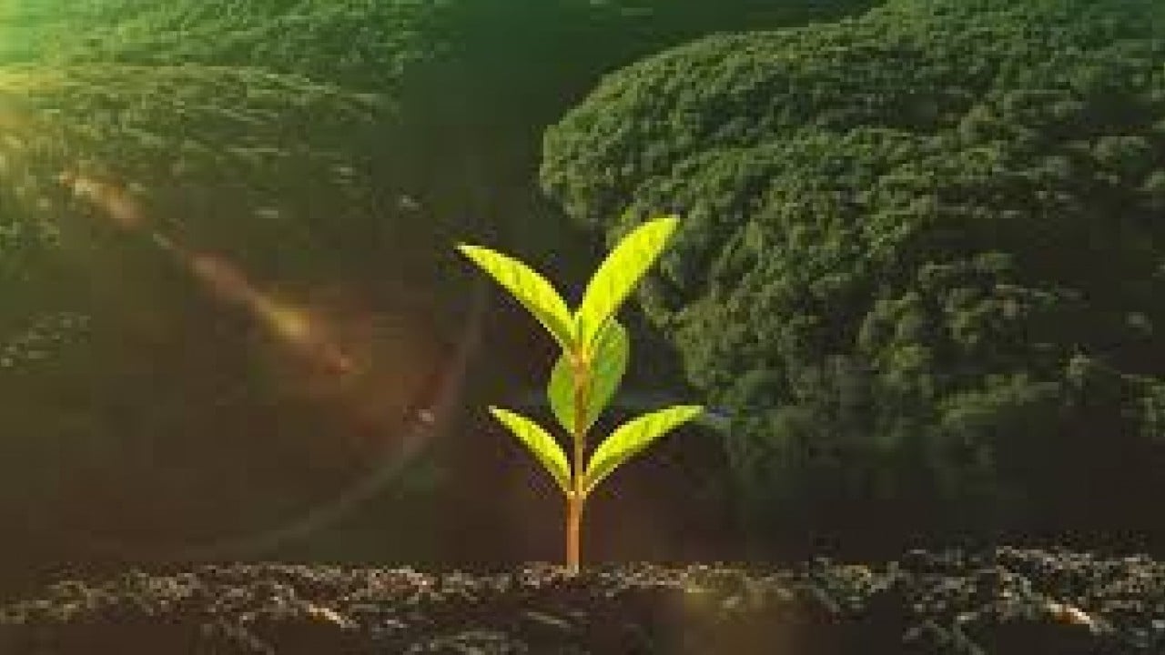 Foto - Bakan Yumaklı: Türkiye, orman yangınlarında İHA kullanan dünyada 2'nci ülke