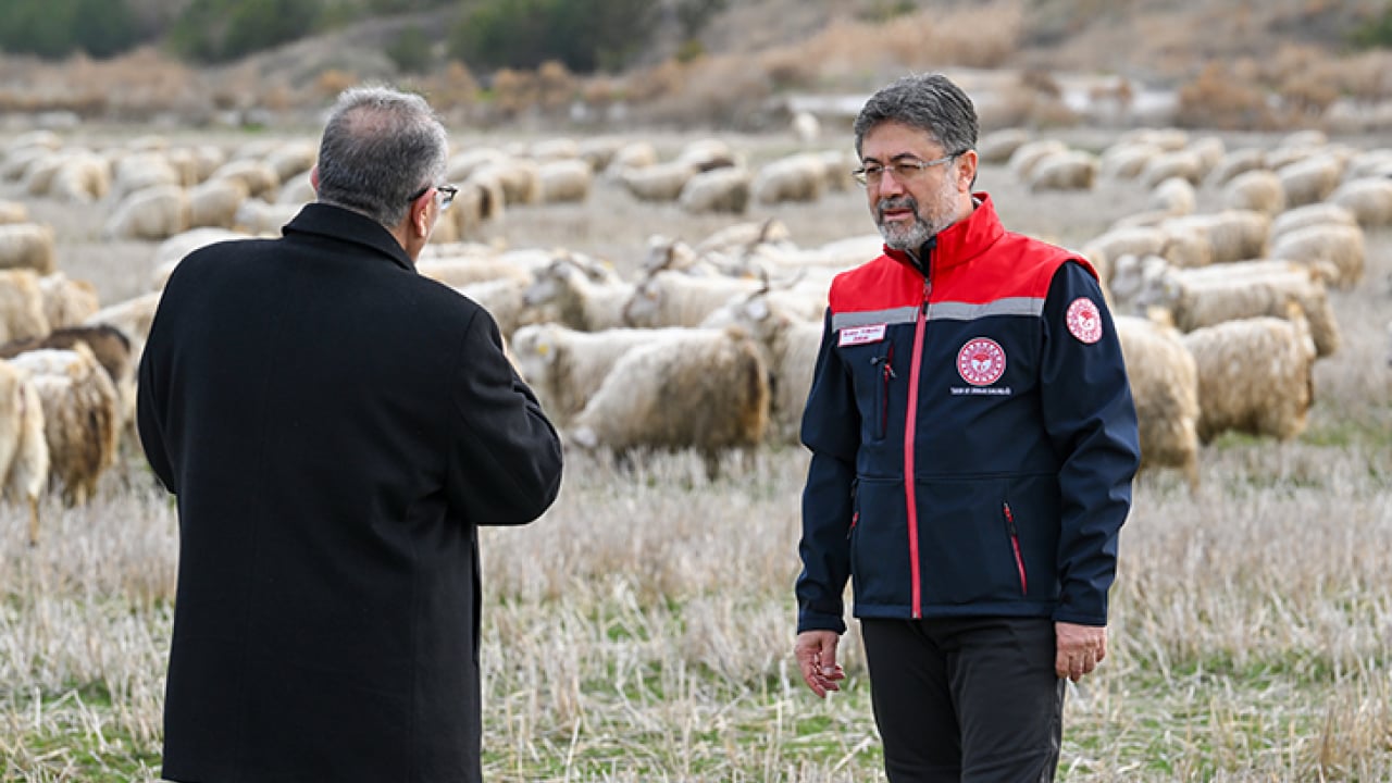 Foto - Bakan Yumaklı’dan üreticilere yeni destek müjdesi: Tiftik ekonomiye kazandırılacak
