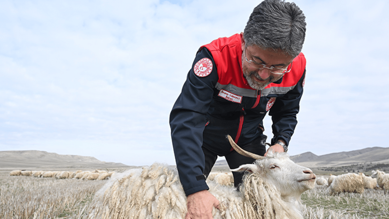Foto - Bakan Yumaklı’dan üreticilere yeni destek müjdesi: Tiftik ekonomiye kazandırılacak