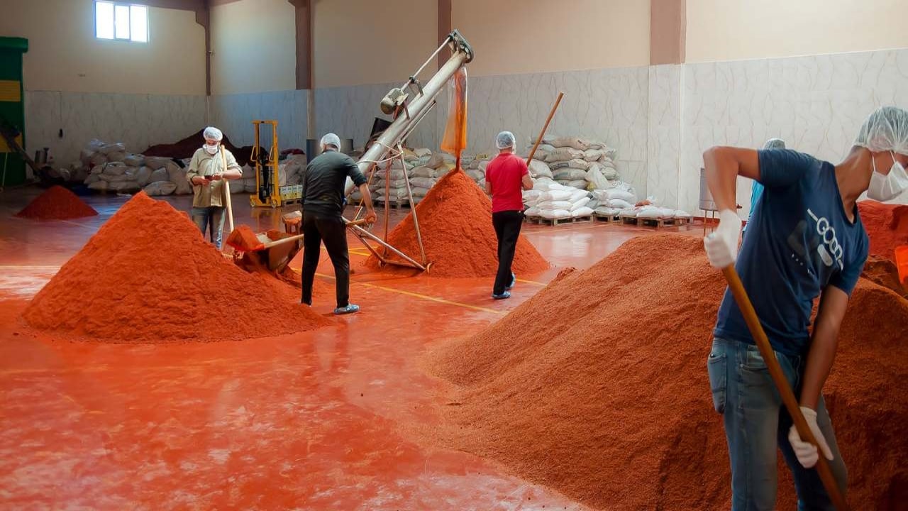 Foto - Bakanlık cümle âleme ifşa etti! Ünlü baharatçının pul biberinde boya çıktı 
