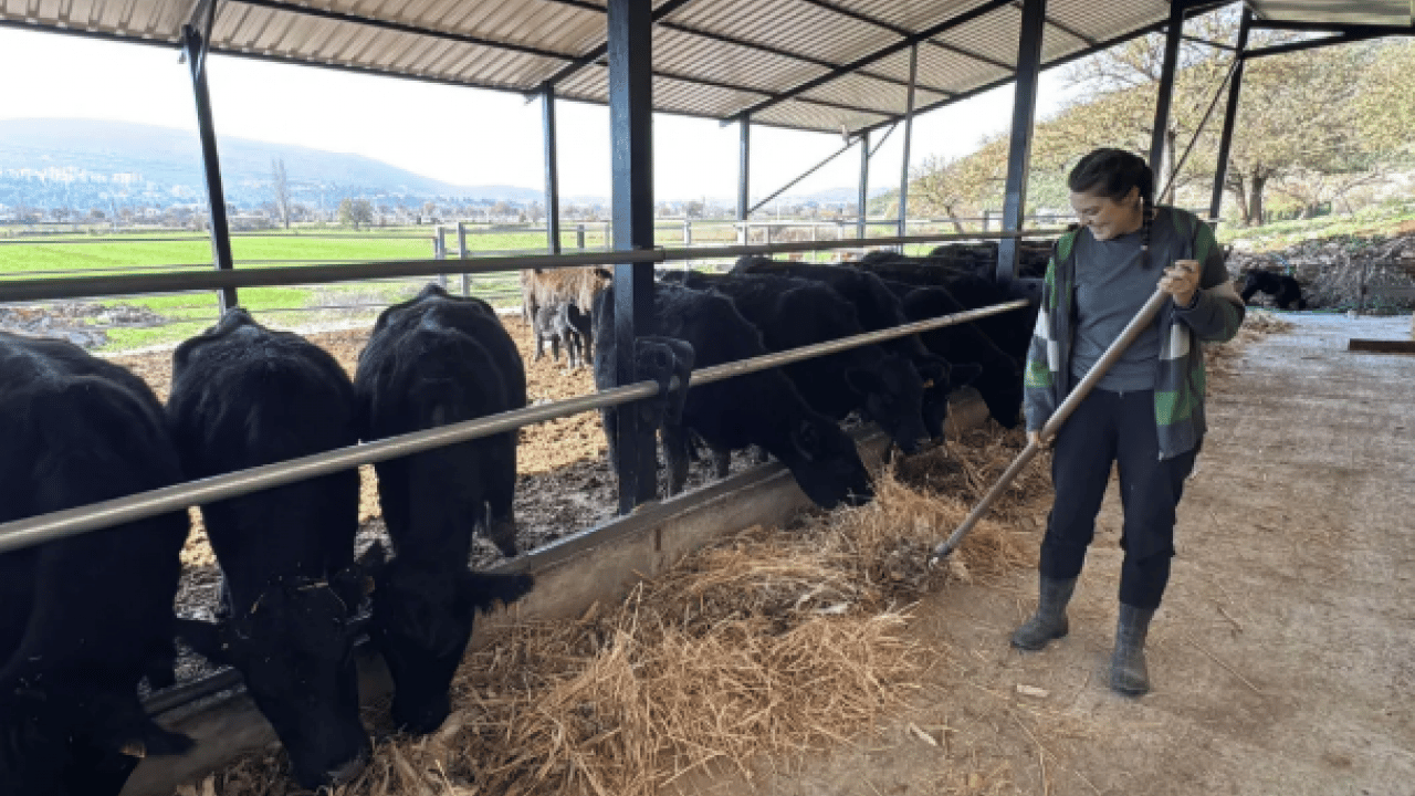 Bakanlık destek verdi çiftlik kurdu: 'İşimi çok seviyorum'