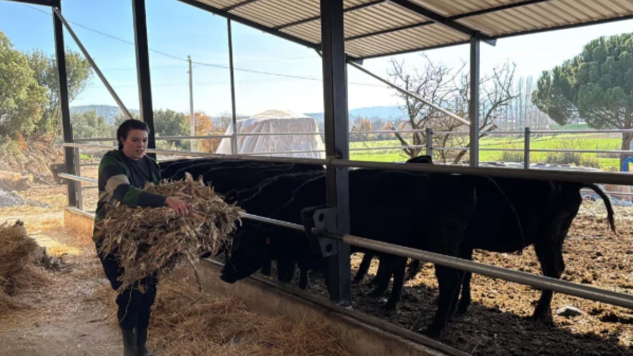 Foto - Bakanlık destek verdi çiftlik kurdu: 'İşimi çok seviyorum'
