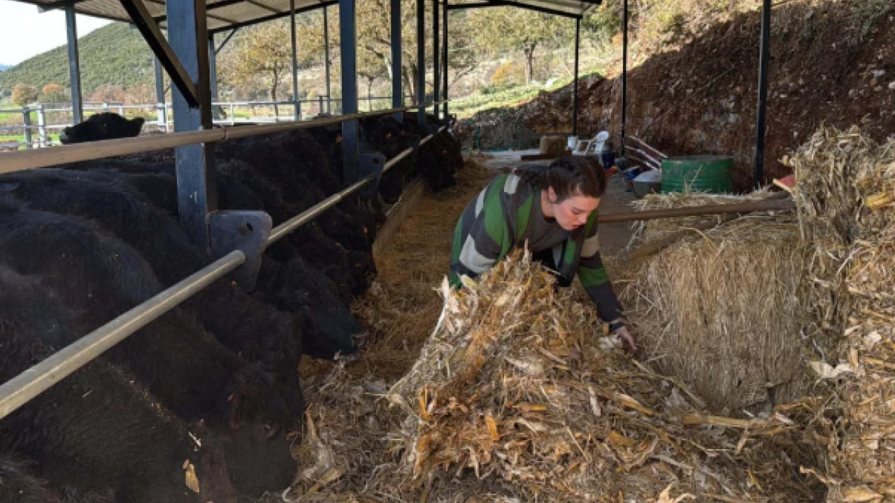 Foto - Bakanlık destek verdi çiftlik kurdu: 'İşimi çok seviyorum'