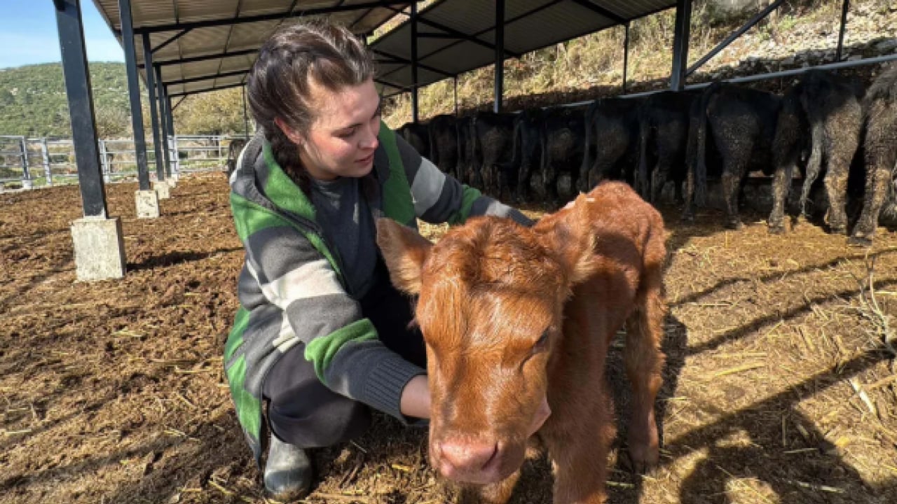 Foto - Bakanlık destek verdi çiftlik kurdu: 'İşimi çok seviyorum'