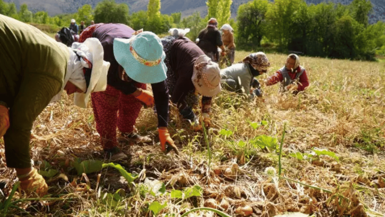 Foto - Bakanlık müjdeyi duyurdu: Yüzde 70'e kadar destek verilecek!