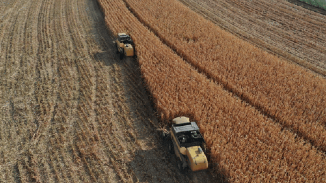 Foto - Bakanlık müjdeyi duyurdu: Yüzde 70'e kadar destek verilecek!