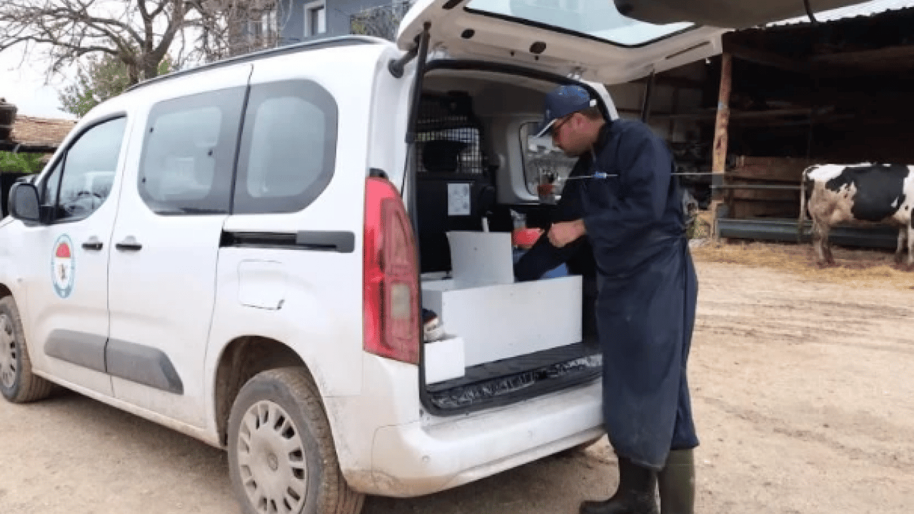 Foto - Bakanlık o ilimizde başlattı! Hayvancılıkta önemli uygulama