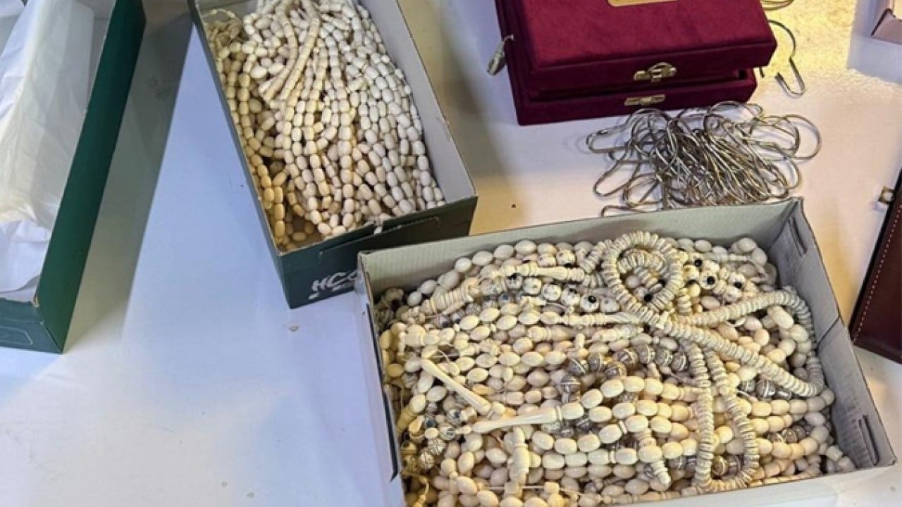 Foto - Bakanlık operasyon yaptı! Yasa dışı yaban hayatı ürünlerine el konuldu