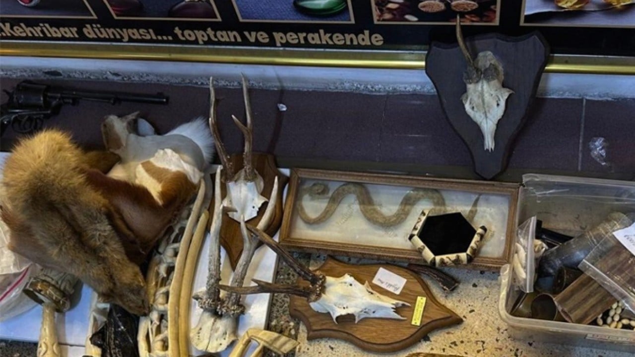 Foto - Bakanlık operasyon yaptı! Yasa dışı yaban hayatı ürünlerine el konuldu