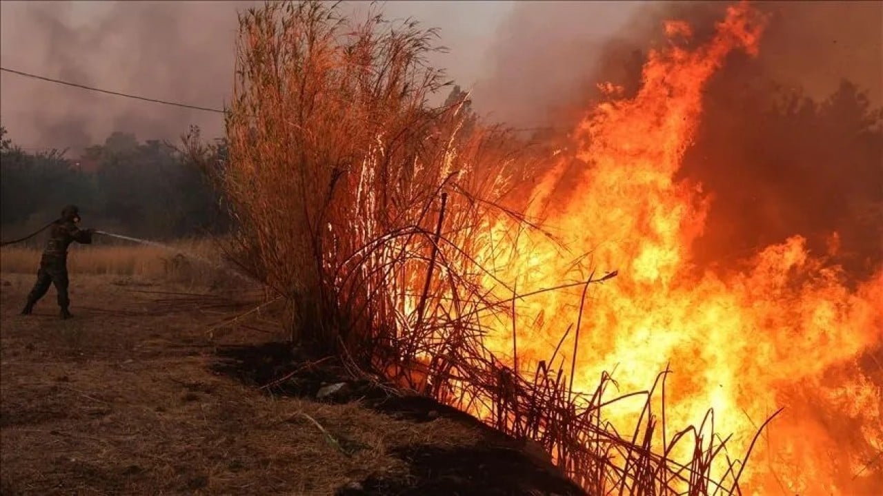 Foto - Bakanlık sosyal medyadan uyardı Orman yakanı devlet yakacak!