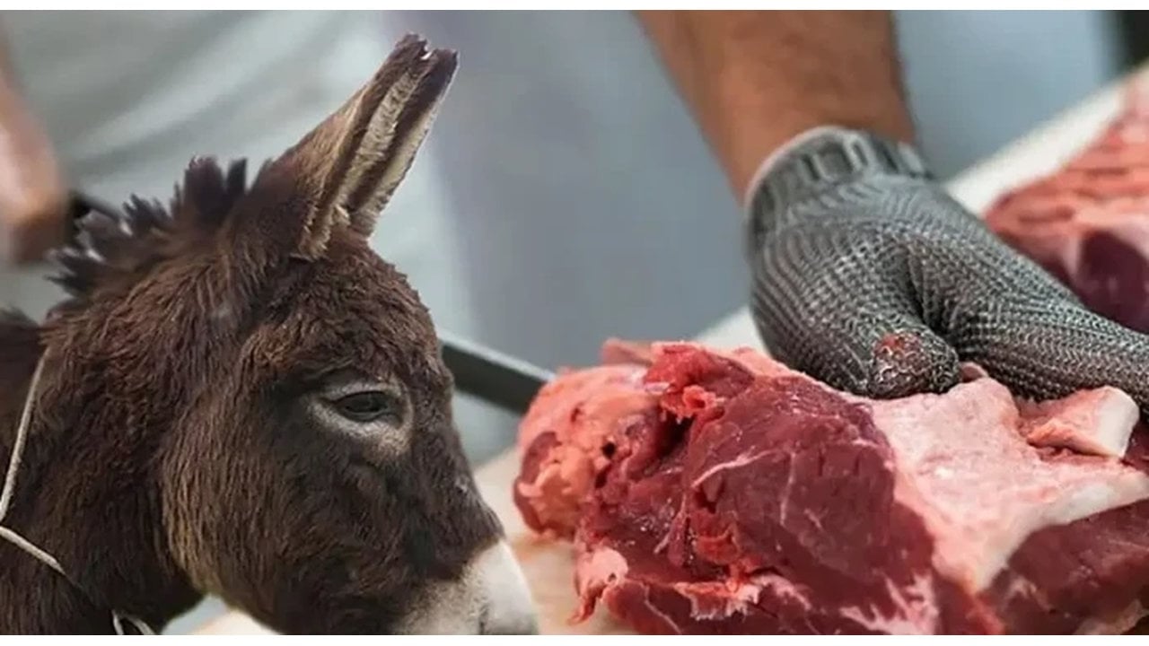 Foto - Bakanlık tek tek ifşa etti: Meşhur markalardan at ve eşek eti çıktı