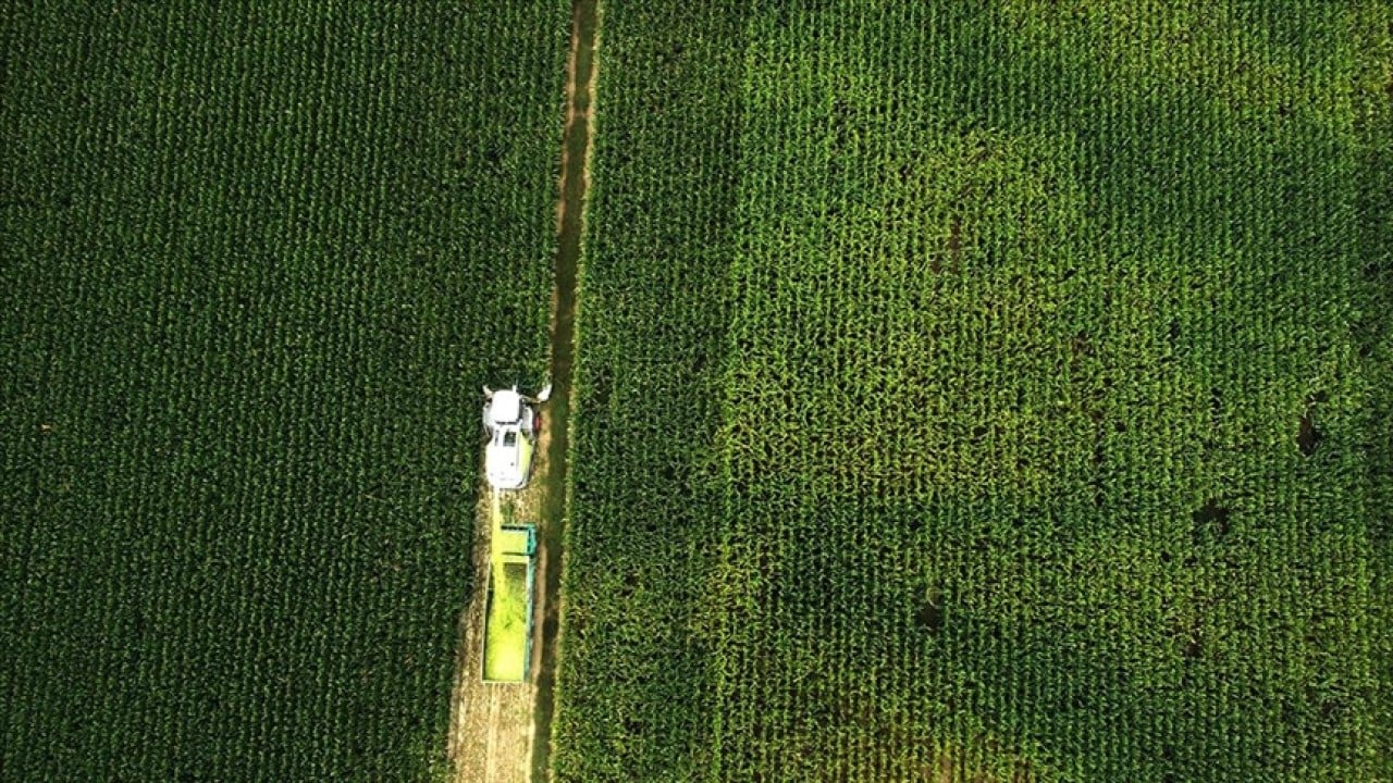 Foto - Bakanlıktan açıklama geldi! O ovalar koruma alanı ilan edildi