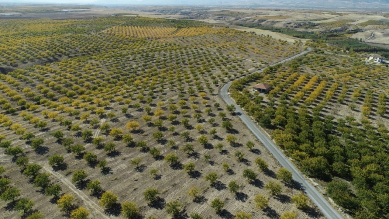 Foto - Bakanlıktan açıklama geldi! O ovalar koruma alanı ilan edildi
