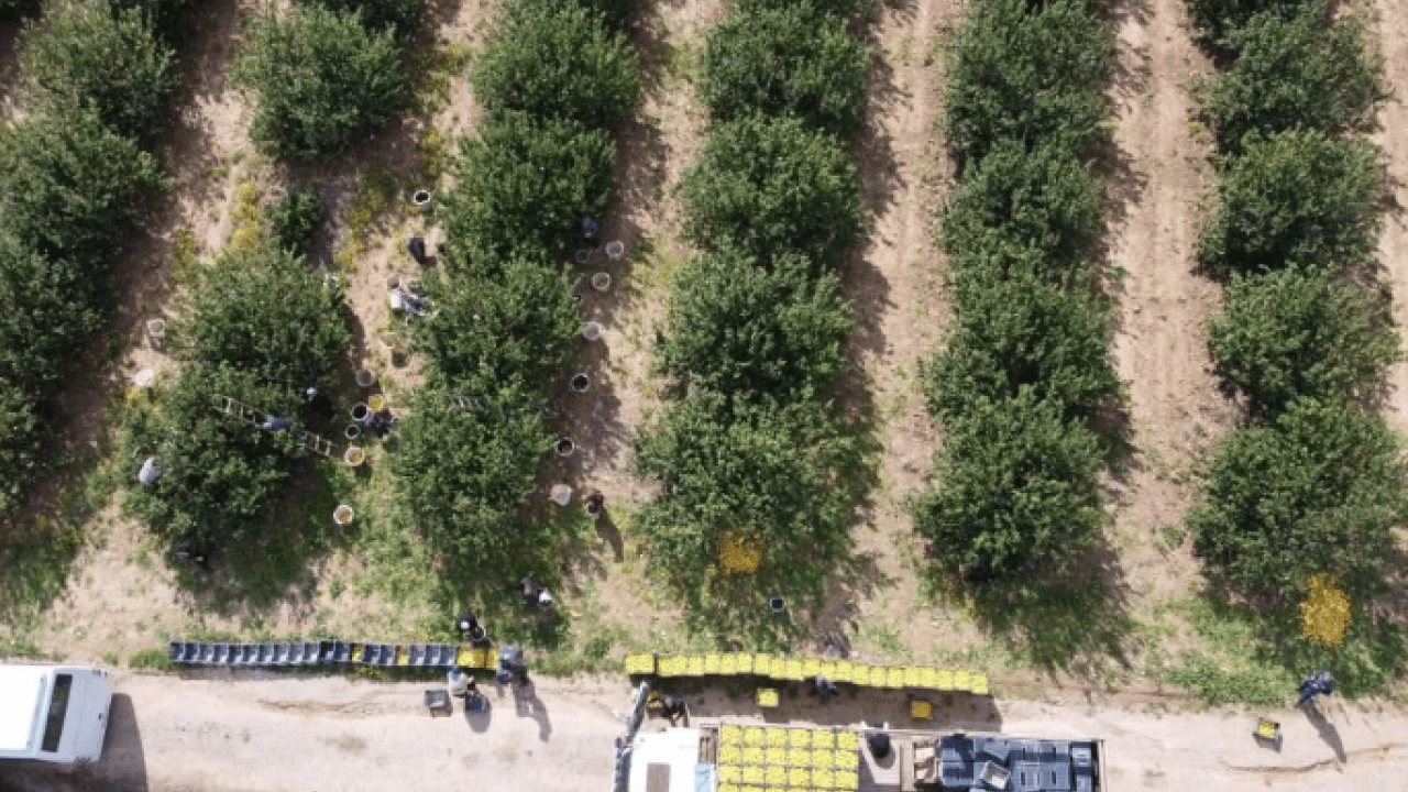 Foto - Bakın en yüksek ücret hangi ilde! Mevsimlik tarım işçilerinin yevmiyeleri belli oldu