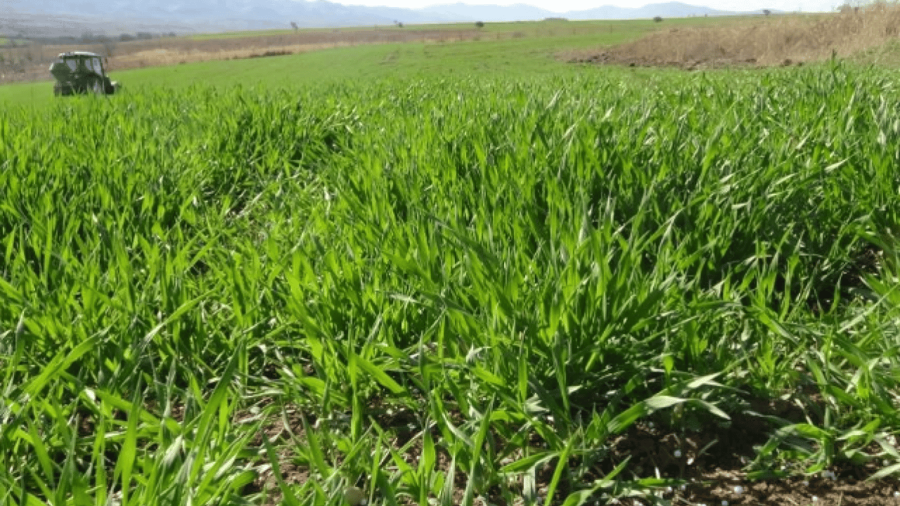 Foto - Bakın en yüksek ücret hangi ilde! Mevsimlik tarım işçilerinin yevmiyeleri belli oldu